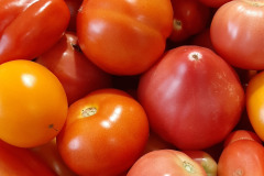 Pomidory-Marka-12