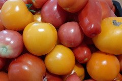 Pomidory-Marka-13